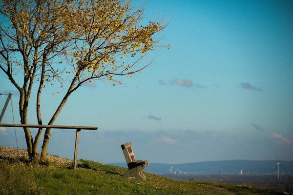 Comment les techniques de relaxation progressive peuvent-elles aider les enfants à mieux gérer le stress scolaire?