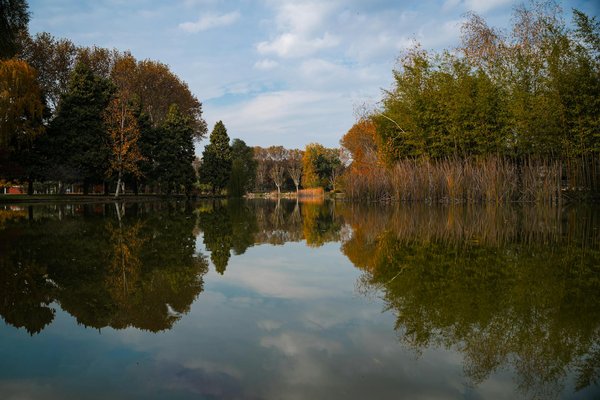 Comment les professionnels de la santé peuvent-ils mieux gérer les soins des patients atteints de douleurs chroniques?
