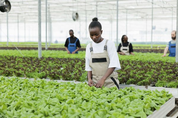 Quels sont les bénéfices de la méthode Feldenkrais pour les patients avec des douleurs cervicales chroniques?